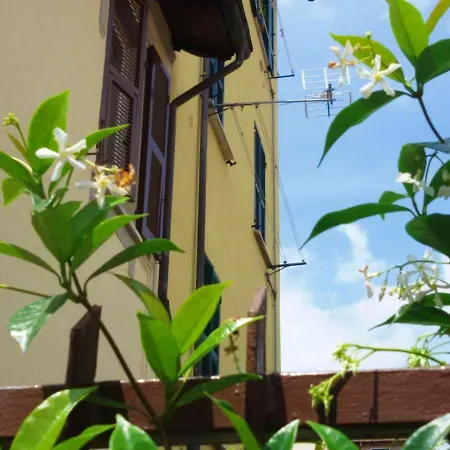 Cosy In 30 M² Garden View